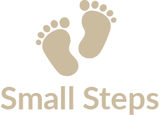 Small Steps School